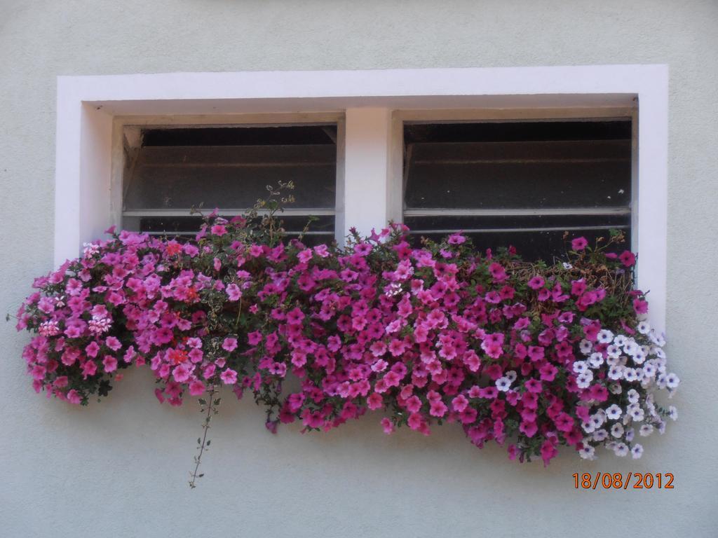 Huberbauer Vila Johnsbach Exterior foto